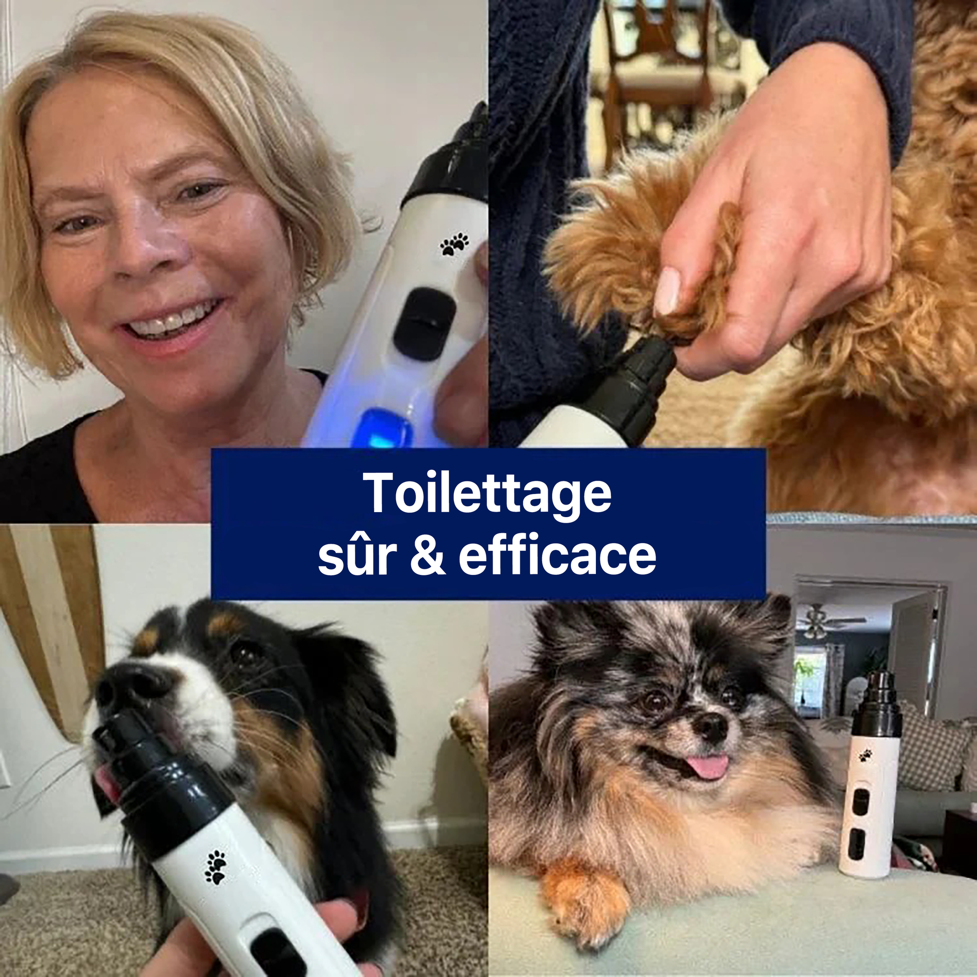 Isoria Pro – Limes à Ongles pour Animaux