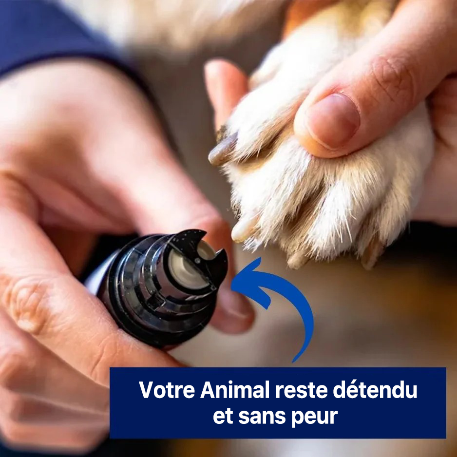 Isoria Pro – Limes à Ongles pour Animaux